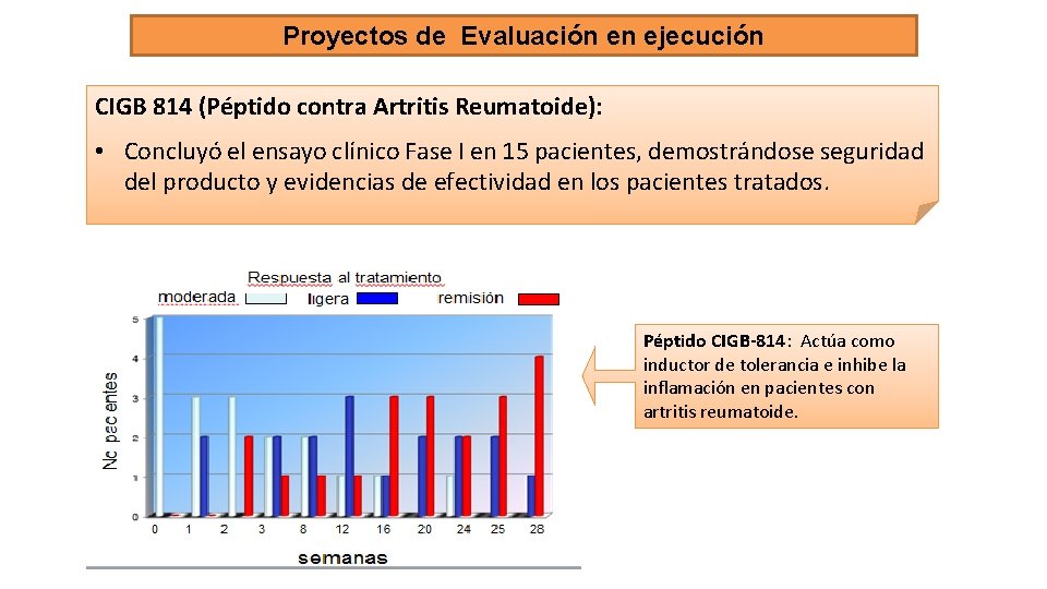 Proyectos de Evaluación en ejecución CIGB 814 (Péptido contra Artritis Reumatoide): • Concluyó el