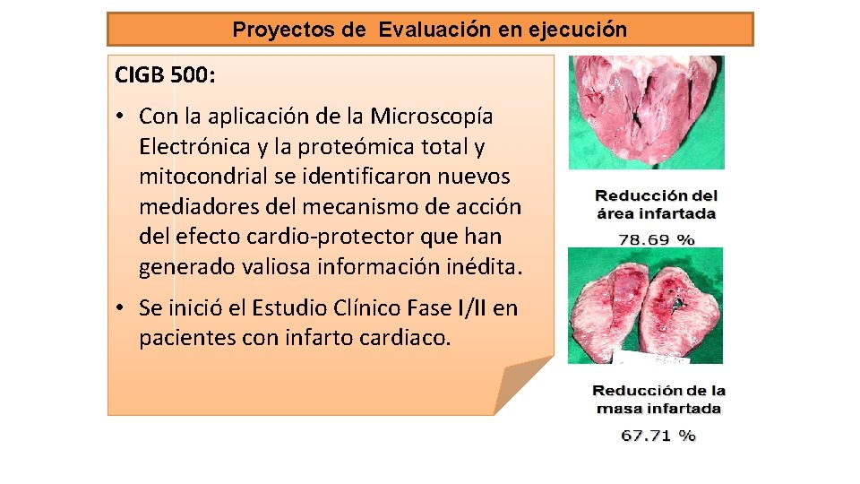 Proyectos de Evaluación en ejecución CIGB 500: • Con la aplicación de la Microscopía