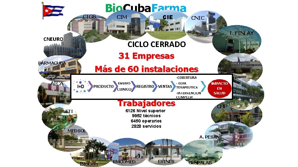 CIGB Bio. Cuba. Farma CIM CIE CNIC I. FINLAY CNEURO CICLO CERRADO 31 Empresas