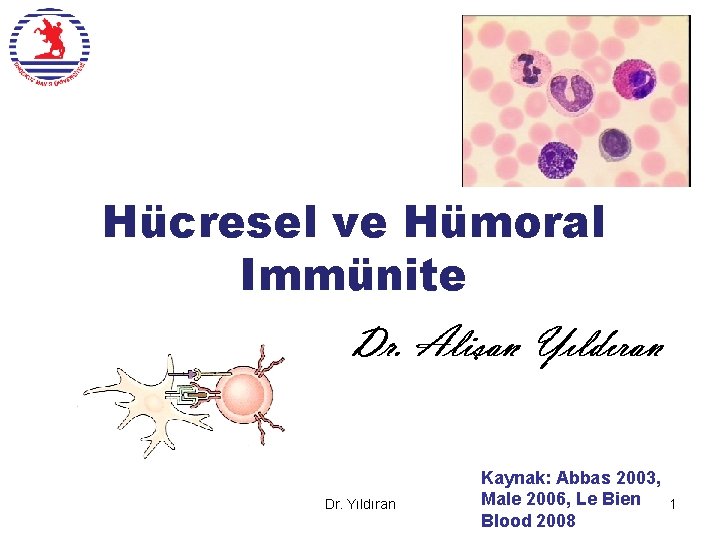Hücresel ve Hümoral Immünite Dr. Yıldıran Kaynak: Abbas 2003, Male 2006, Le Bien Blood