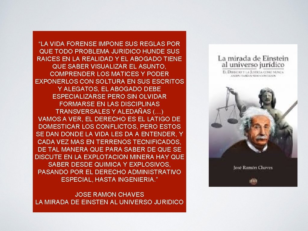 “LA VIDA FORENSE IMPONE SUS REGLAS POR QUE TODO PROBLEMA JURIDICO HUNDE SUS RAICES