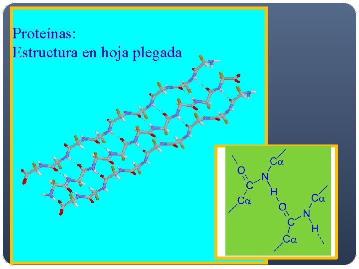 Proteínas: Estructura en hoja plegada Proteínas: Estructura en hoja plegada