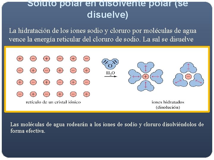 Soluto polar en disolvente polar (se disuelve) La hidratación de los iones sodio y Soluto polar en disolvente polar (se disuelve) La hidratación de los iones sodio y