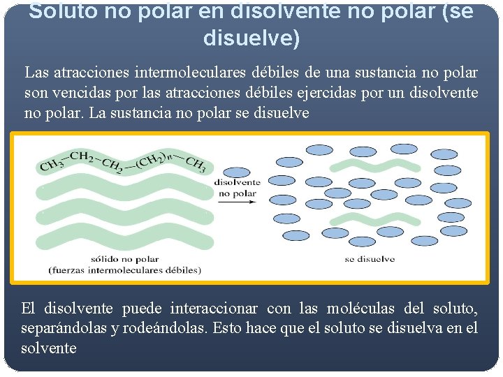 Soluto no polar en disolvente no polar (se disuelve) Las atracciones intermoleculares débiles de Soluto no polar en disolvente no polar (se disuelve) Las atracciones intermoleculares débiles de