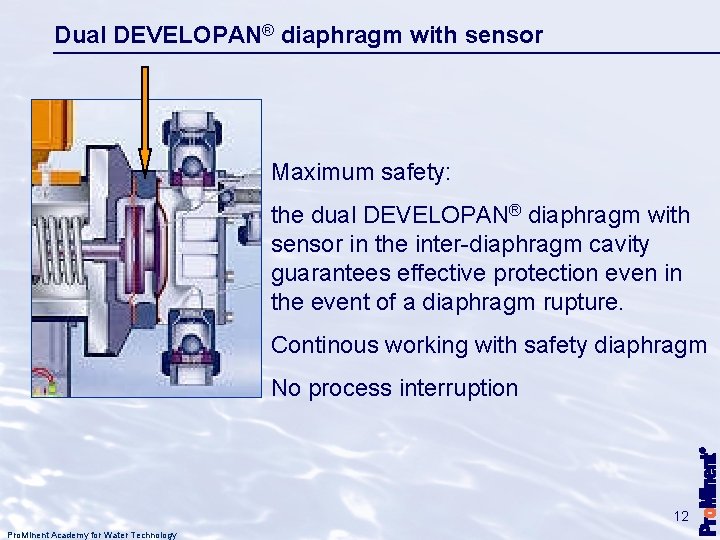 Dual DEVELOPAN® diaphragm with sensor Maximum safety: the dual DEVELOPAN® diaphragm with sensor in