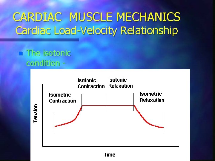 CARDIAC MUSCLE MECHANICS Cardiac Load-Velocity Relationship n The isotonic condition - 