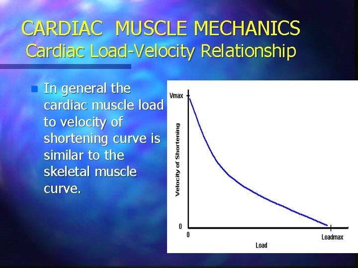 CARDIAC MUSCLE MECHANICS Cardiac Load-Velocity Relationship n In general the cardiac muscle load to