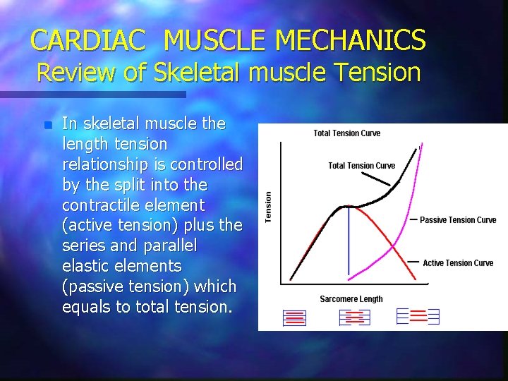 CARDIAC MUSCLE MECHANICS Review of Skeletal muscle Tension n In skeletal muscle the length