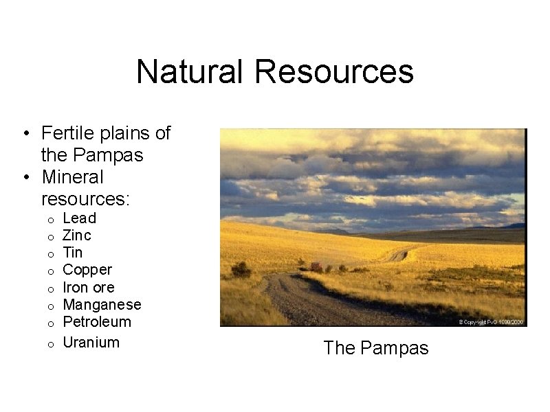 Natural Resources • Fertile plains of the Pampas • Mineral resources: Lead Zinc Tin