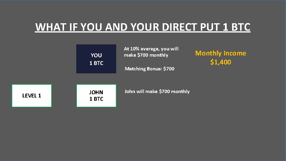 WHAT IF YOU AND YOUR DIRECT PUT 1 BTC YOU 1 BTC LEVEL 1