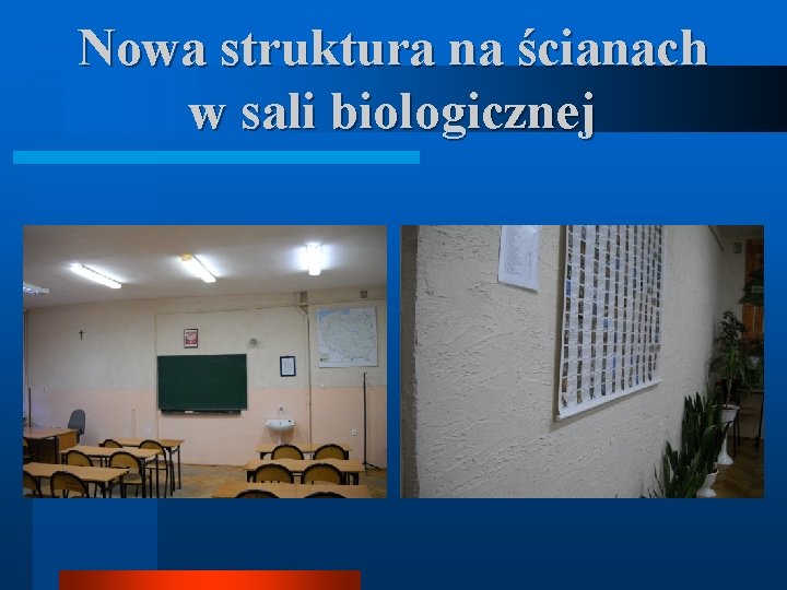 Nowa struktura na ścianach w sali biologicznej 