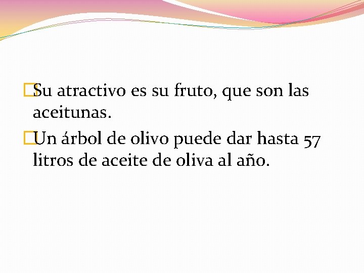�Su atractivo es su fruto, que son las aceitunas. �Un árbol de olivo puede