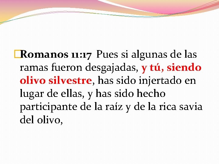 �Romanos 11: 17 Pues si algunas de las ramas fueron desgajadas, y tú, siendo