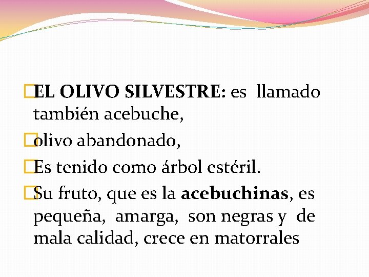 �EL OLIVO SILVESTRE: es llamado también acebuche, �olivo abandonado, �Es tenido como árbol estéril.