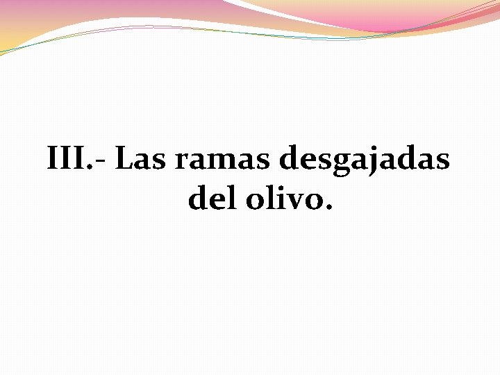 III. - Las ramas desgajadas del olivo. 
