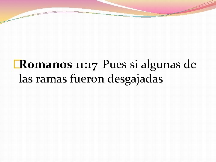 �Romanos 11: 17 Pues si algunas de las ramas fueron desgajadas 