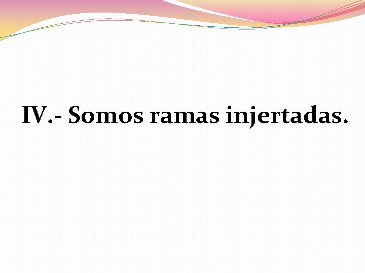IV. - Somos ramas injertadas. 