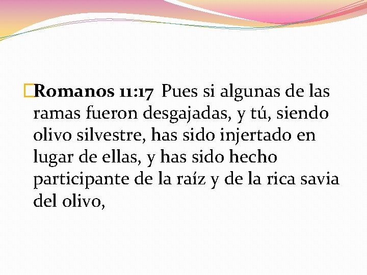 �Romanos 11: 17 Pues si algunas de las ramas fueron desgajadas, y tú, siendo