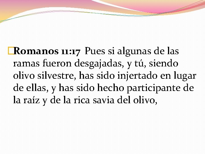 �Romanos 11: 17 Pues si algunas de las ramas fueron desgajadas, y tú, siendo