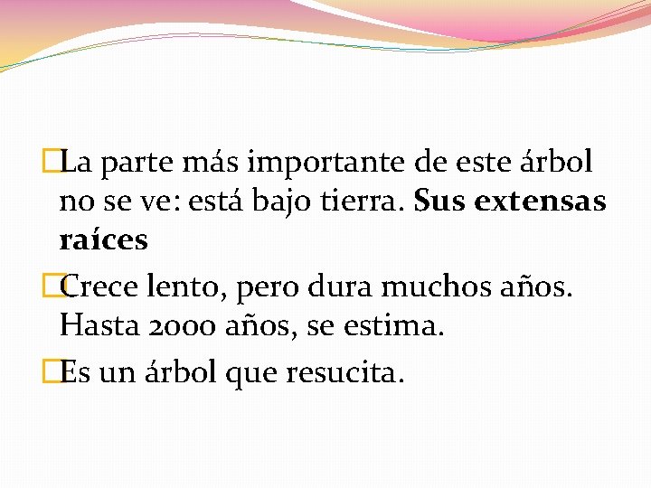 �La parte más importante de este árbol no se ve: está bajo tierra. Sus