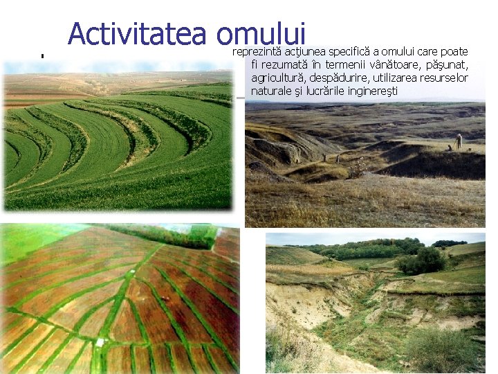 Activitatea omului reprezintă acţiunea specifică a omului care poate fi rezumată în termenii vânătoare,