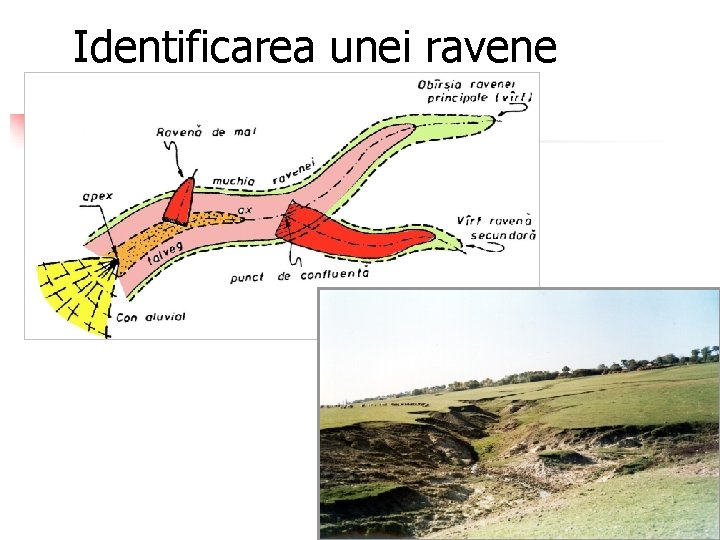 Identificarea unei ravene 