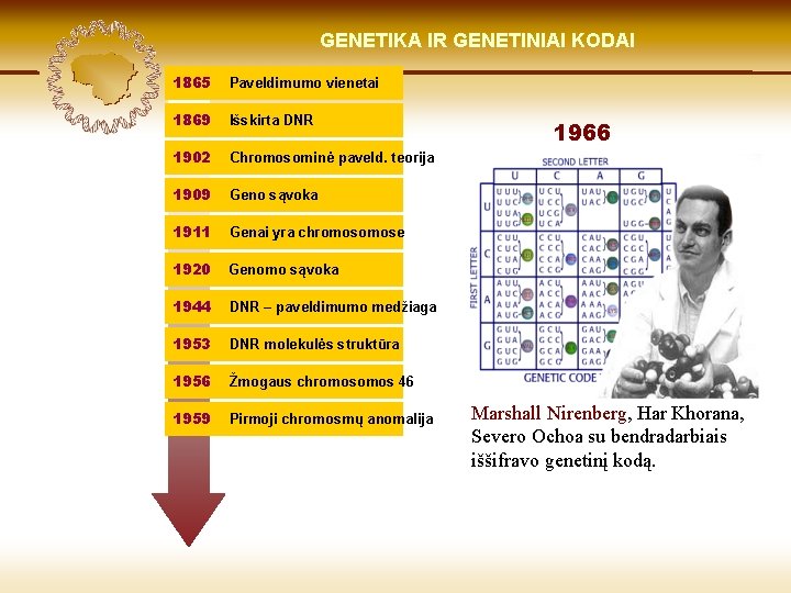 LIETUVIŲ KILMĖ GENETIKA GENETIKOS IR GENETINIAI IR GENOMIKOS KODAI ŠVIESOJE 1865 Paveldimumo vienetai 1869