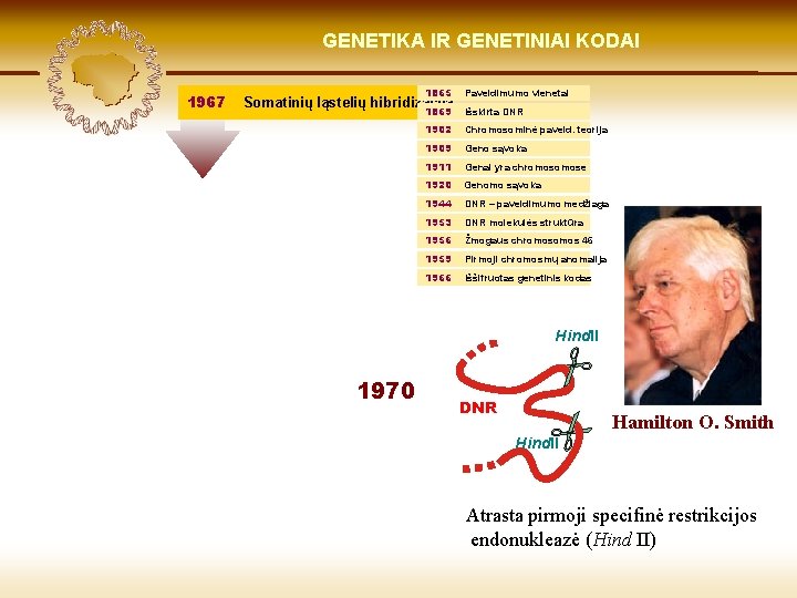 LIETUVIŲ KILMĖ GENETIKA GENETIKOS IR GENETINIAI IR GENOMIKOS KODAI ŠVIESOJE 1967 1865 Paveldimumo vienetai