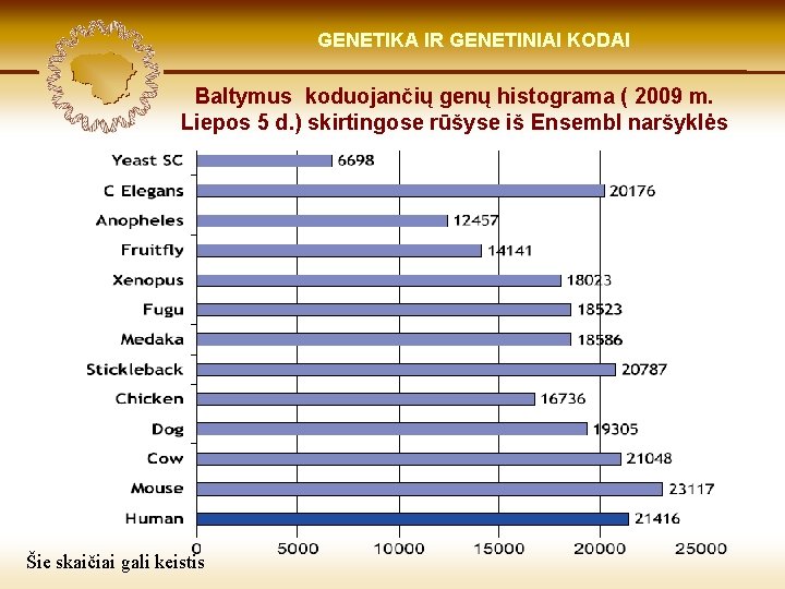 LIETUVIŲ KILMĖ GENETIKA GENETIKOS IR GENETINIAI IR GENOMIKOS KODAI ŠVIESOJE Baltymus koduojančių genų histograma