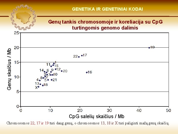 LIETUVIŲ KILMĖ GENETIKA GENETIKOS IR GENETINIAI IR GENOMIKOS KODAI ŠVIESOJE Genų skaičius / Mb