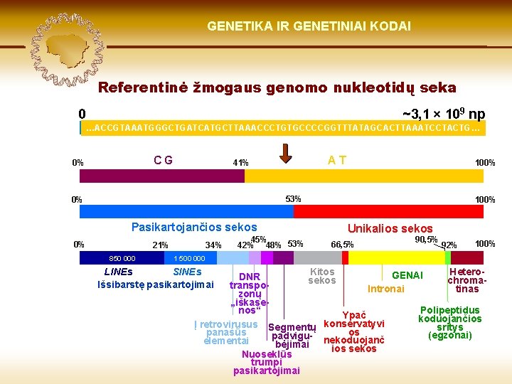 LIETUVIŲ KILMĖ GENETIKA GENETIKOS IR GENETINIAI IR GENOMIKOS KODAI ŠVIESOJE Referentinė žmogaus genomo nukleotidų