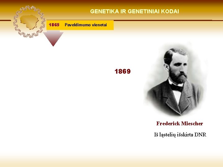 LIETUVIŲ KILMĖ GENETIKA GENETIKOS IR GENETINIAI IR GENOMIKOS KODAI ŠVIESOJE 1865 Paveldimumo vienetai 1869