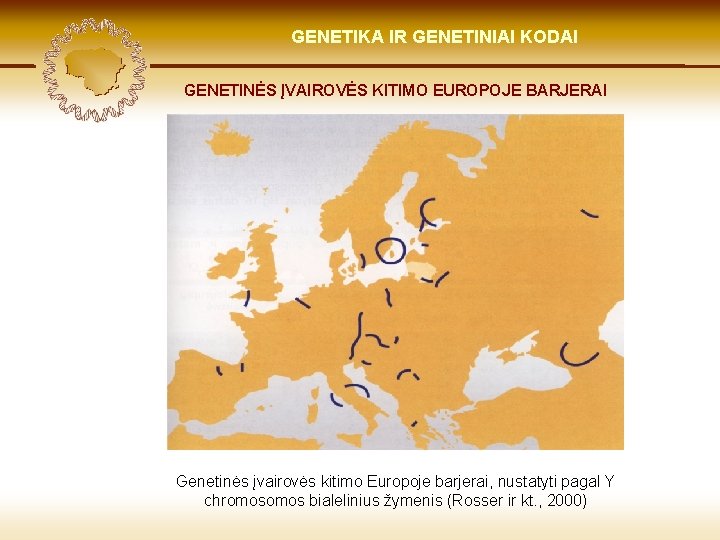 LIETUVIŲ KILMĖ GENETIKA GENETIKOS IR GENETINIAI IR GENOMIKOS KODAI ŠVIESOJE GENETINĖS ĮVAIROVĖS KITIMO EUROPOJE