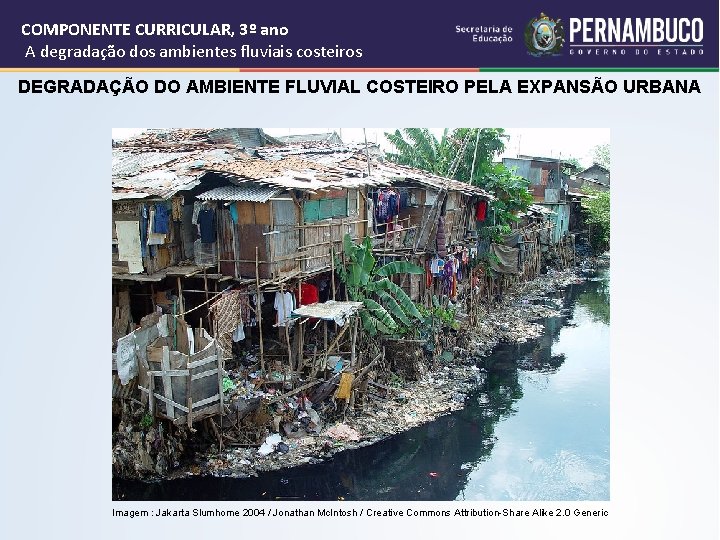COMPONENTE CURRICULAR, 3º ano A degradação dos ambientes fluviais costeiros DEGRADAÇÃO DO AMBIENTE FLUVIAL