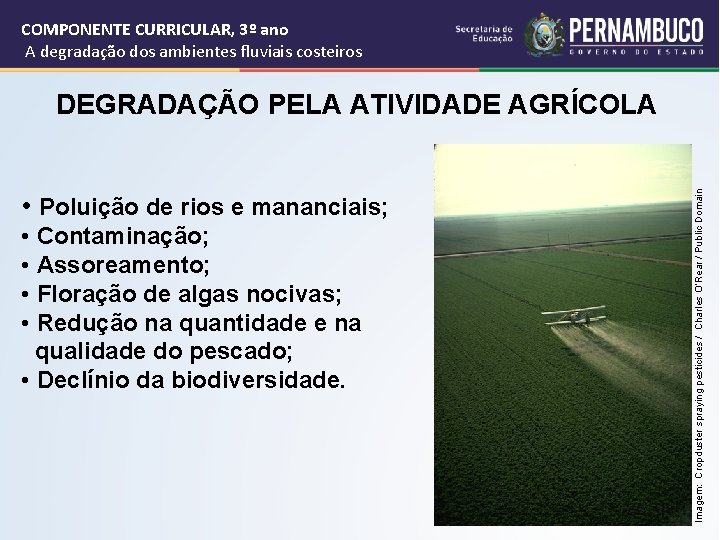 COMPONENTE CURRICULAR, 3º ano A degradação dos ambientes fluviais costeiros • Poluição de rios