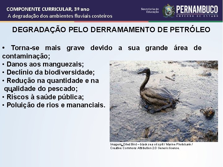 COMPONENTE CURRICULAR, 3º ano A degradação dos ambientes fluviais costeiros DEGRADAÇÃO PELO DERRAMAMENTO DE