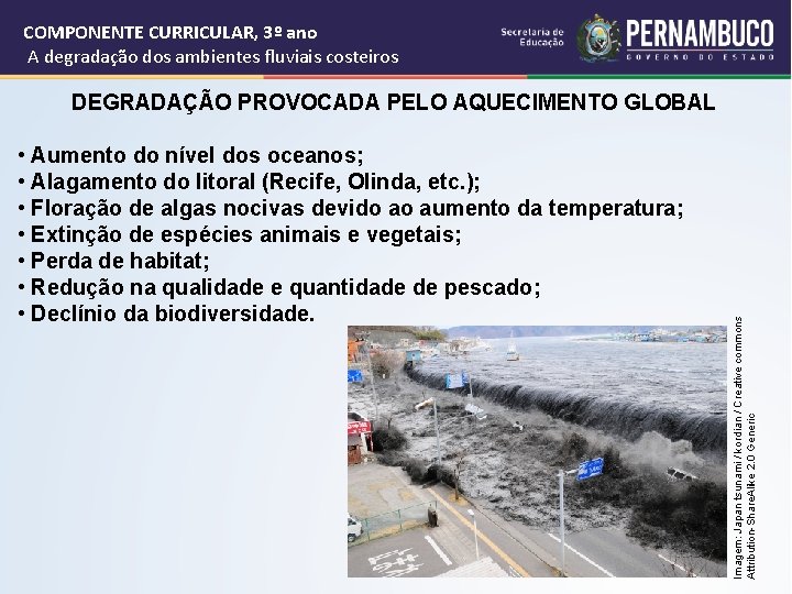 COMPONENTE CURRICULAR, 3º ano A degradação dos ambientes fluviais costeiros • Aumento do nível