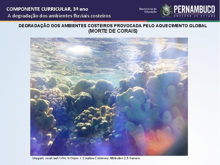 COMPONENTE CURRICULAR, 3º ano A degradação dos ambientes fluviais costeiros DEGRADAÇÃO DOS AMBIENTES COSTEIROS