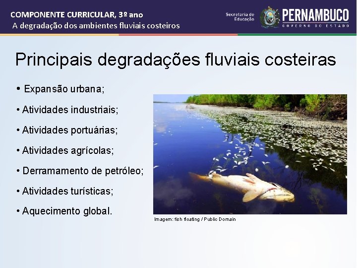 COMPONENTE CURRICULAR, 3º ano A degradação dos ambientes fluviais costeiros Principais degradações fluviais costeiras