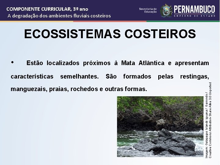 COMPONENTE CURRICULAR, 3º ano A degradação dos ambientes fluviais costeiros ECOSSISTEMAS COSTEIROS Estão localizados
