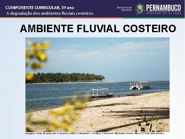 COMPONENTE CURRICULAR, 3º ano A degradação dos ambientes fluviais costeiros AMBIENTE FLUVIAL COSTEIRO Imagem: