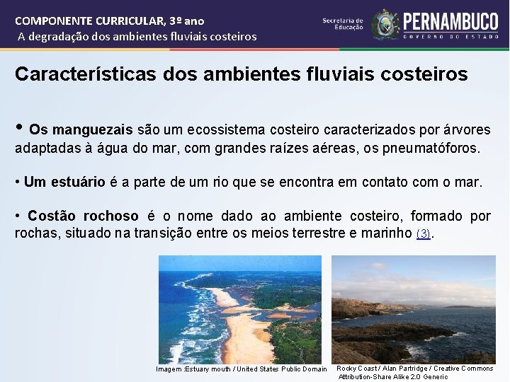 COMPONENTE CURRICULAR, 3º ano A degradação dos ambientes fluviais costeiros Características dos ambientes fluviais