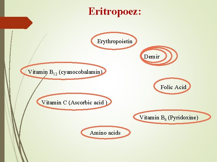  Eritropoez: Erythropoietin Demir Vitamin B 12 (cyanocobalamin) Folic Acid Vitamin C (Ascorbic acid