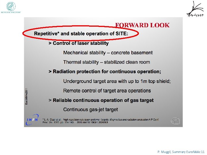 P. Muggli, Summary Euro. NAAc 11 