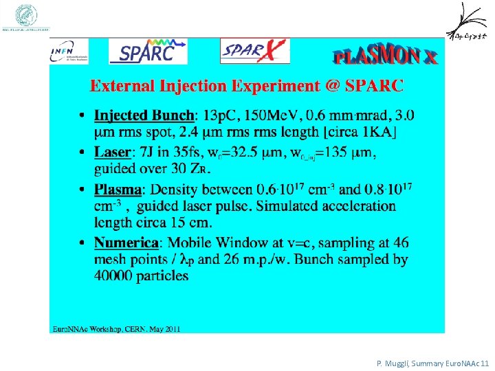 P. Muggli, Summary Euro. NAAc 11 