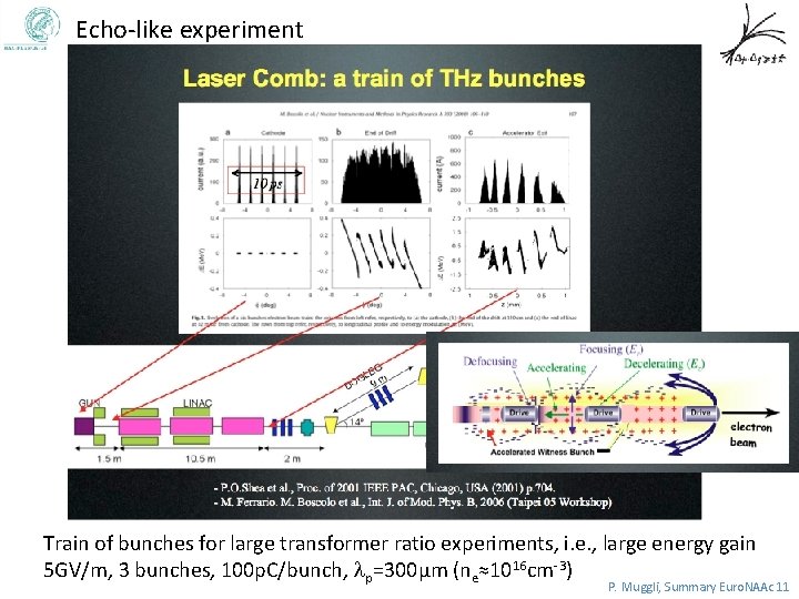 Echo-like experiment Train of bunches for large transformer ratio experiments, i. e. , large