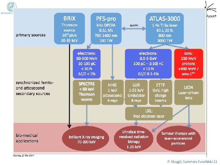 P. Muggli, Summary Euro. NAAc 11 