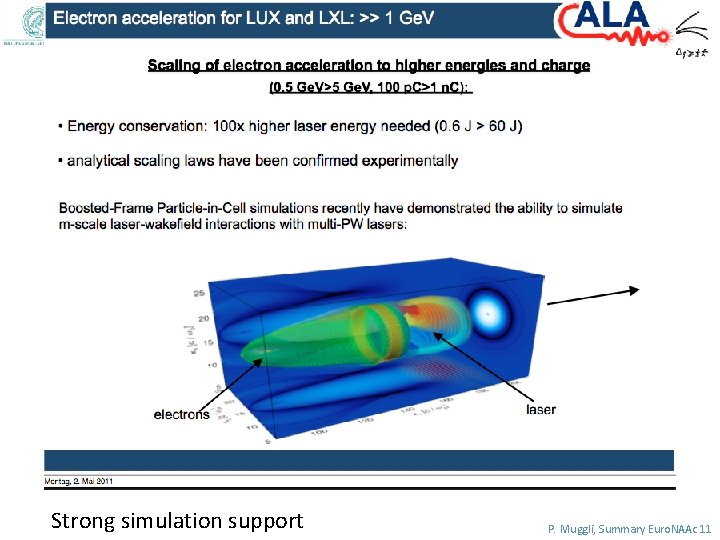 Strong simulation support P. Muggli, Summary Euro. NAAc 11 