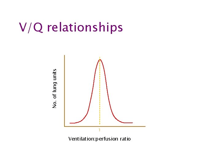 No. of lung units V/Q relationships 1 Ventilation: perfusion ratio 