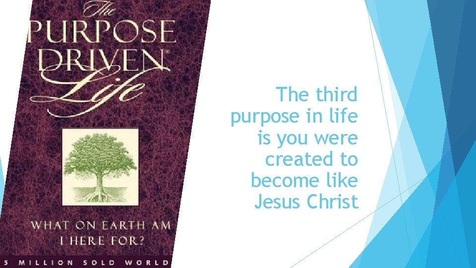 The third purpose in life is you were created to become like Jesus Christ